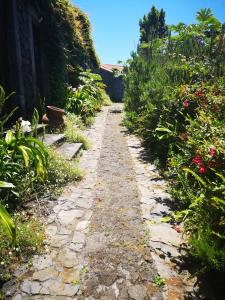a walkway leading to a garden filled with plants at Hotel os Moinhos in Velas