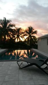 - une vue sur la piscine bordée de palmiers et le coucher du soleil dans l'établissement Douceurs Caraïbes, Gîte Coco., à Bouillante
