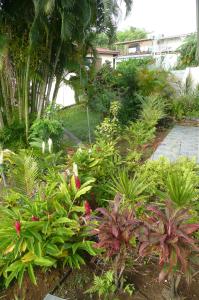 Jardin de l'établissement Douceurs Caraïbes, Gîte Coco.