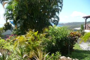 Zahrada ubytování Douceurs Caraïbes, Gîte Cannelle