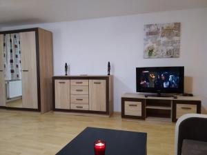 TV a/nebo společenská místnost v ubytování Apartment Benecko 124