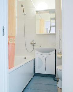 a bathroom with a shower and a sink and a toilet at ApartLux Yuzhnaya in Moscow