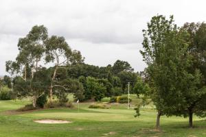 un campo de golf con un árbol y un verde en Abode Narrabundah, en Canberra