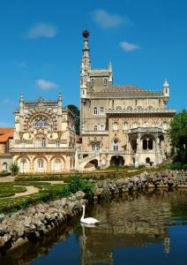 um cisne na água em frente a um edifício em Palace Hotel do Bussaco no Luso