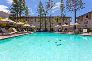 uma piscina num hotel com cadeiras e guarda-sóis em Crowne Plaza Silicon Valley North - Union City, an IHG Hotel em Union City