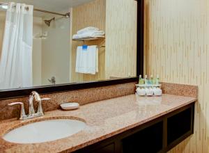 Ένα μπάνιο στο Holiday Inn Express Tyler South by IHG