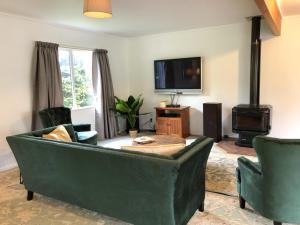 uma sala de estar com um sofá verde e um fogão em Howards Mountain Lodge em National Park
