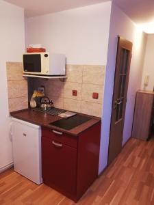 Kuchyňa alebo kuchynka v ubytovaní Pension u Lašanů