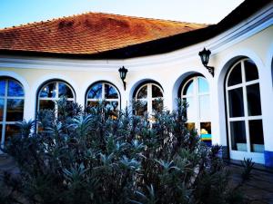 Zahrada ubytování Ginti Panzió, Őrség