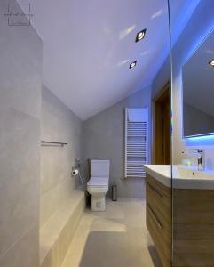 a bathroom with a toilet and a sink and a mirror at Art of Living luxury suite three in Sarajevo