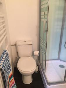 uma pequena casa de banho com WC e chuveiro em Salardine Apartments - Duplex with Modern Touch em Châlus