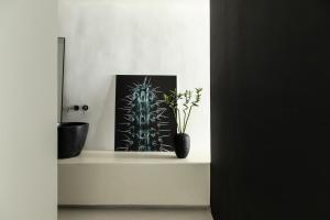 a white shelf with a picture and a vase with a plant at Nimbus Mykonos in Agios Stefanos