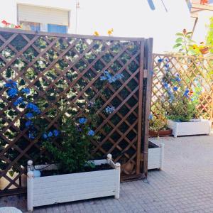 サンタ・テレーザ・ガッルーラにあるBerenice Vien Dal Mareの壺の青い花の木塀