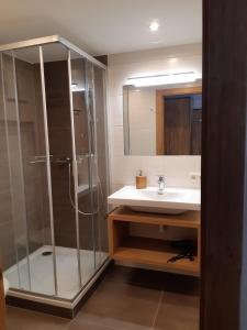 bagno con doccia in vetro e lavandino di Pension Thainerhof a Reith bei Kitzbühel