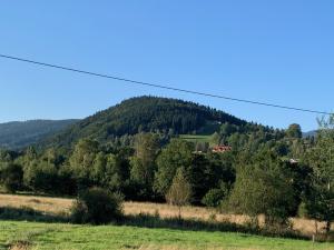 Príroda v okolí horskej chaty