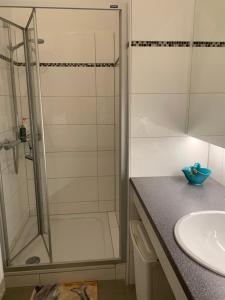 een badkamer met een douche en een wastafel bij Villa Pazelt Top2 in Bad Vöslau