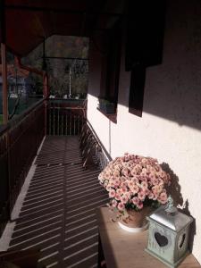Balkón alebo terasa v ubytovaní Bela apartment