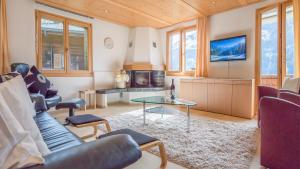 TV a/nebo společenská místnost v ubytování Chalet Millennium