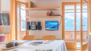 TV a/nebo společenská místnost v ubytování Chalet Millennium