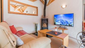 TV a/nebo společenská místnost v ubytování Chalet Millennium