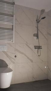 a bathroom with a shower and a toilet at Ambiance in Zierikzee +16 photos