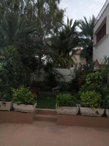 a garden with potted plants and trees and a building at Kingston Motel in Karachi