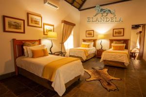 une chambre d'hôtel avec 2 lits et une étoile de mer au sol dans l'établissement Elandela Private Game Reserve and Luxury Lodge, à Hoedspruit