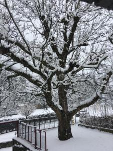 B&B De Notelaar during the winter