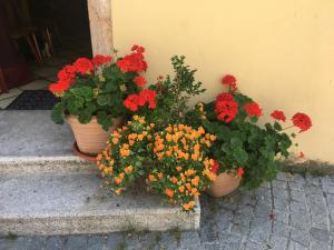 Fotografie z fotogalerie ubytování Haus Schlosskeller v destinaci Rattenberg