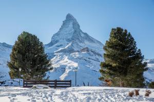 a snow covered mountain in front of a bench and trees at Riffelalp Resort 2222m in Zermatt
