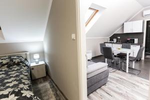 Kuchyň nebo kuchyňský kout v ubytování GÁRDI APARTMAN