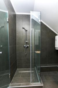 baño con cabina de ducha con puerta de cristal en GÁRDI APARTMAN, en Szekszárd