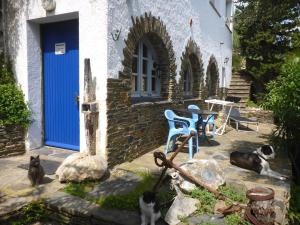 a group of cats and dogs sitting in front of a blue door at Apartment Hibiscus Cadaqués in Cadaqués