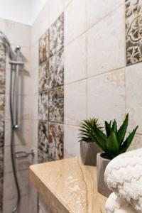 a bathroom with a shower with a potted plant on a counter at Studio Aries Postavarului in Braşov