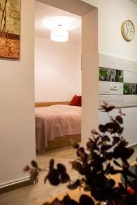 a bedroom with a bed and a plant in front of a mirror at Studio Aries Postavarului in Braşov