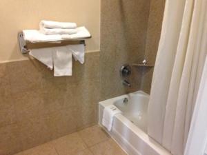 Koupelna v ubytování Downtowner Inn and Suites - Houston + 15 fotografií