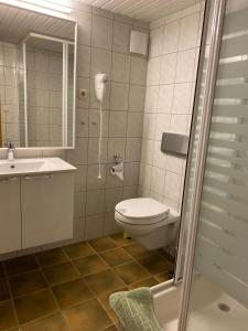 a bathroom with a toilet and a sink and a shower at Ferienwohnungen Elsterblick Bad Elster in Bad Elster
