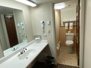 a bathroom with a toilet, sink, and mirror at Dunes Inn Alamosa in Alamosa