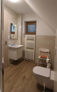 een badkamer met een toilet en een wastafel bij Apartmá Jablonec in Jablonec nad Nisou
