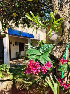 a garden with pink flowers in front of a house at Pousada Recanto do Mar in Saquarema
