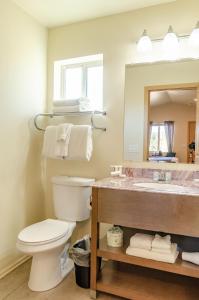La salle de bains est pourvue d'un lavabo, de toilettes et d'un miroir. dans l'établissement Mountain Ridge Cabins & Lodging Between Bryce and Zion National Park, à Hatch