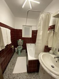 W łazience znajduje się zielona toaleta i umywalka. w obiekcie Apartment Bischofshofen w mieście Bischofshofen