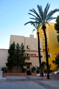 dwie palmy przed budynkiem w obiekcie Hostal El Jardín w mieście Benidorm