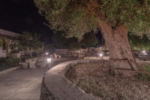 a large tree in a park at night at Masseria Cinti in Bagnolo del Salento