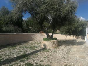 Fotografie z fotogalerie ubytování Casa Rural La Loma v destinaci Iznájar