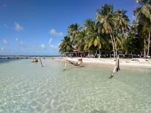 une plage avec des palmiers et une femme qui se couche dans l'eau dans l'établissement Private Room in San Blas Islands PLUS meals, à Waisalatupo