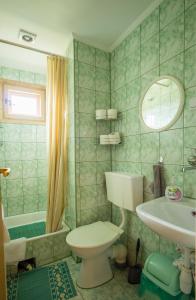 a bathroom with a toilet and a sink at Góralski dom Murzańskich in Białka Tatrzańska