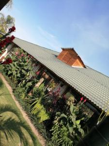 Zahrada ubytování Cabañas la finca 2