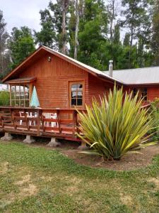 Cabaña de madera con porche y planta en Villa Rosa House, en Pinto