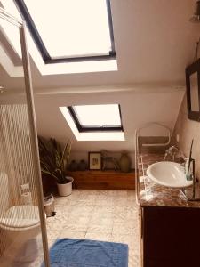 a bathroom with a sink and a skylight at B&B Faja lobi in Ghent